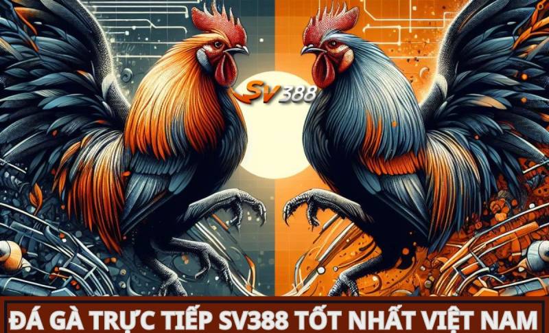 Chương trình truyền hình thực tế hạng Gemwin với người chia bài trực tiếp chất lượng cao - Gemwin