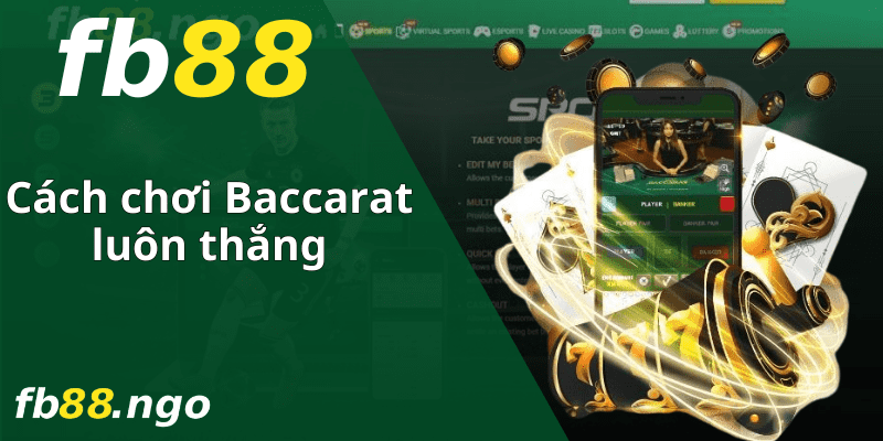 Trên mạng đang lan truyền tin đồn rằng Aog777 là một trò lừa đảo Nguyên nhân của những tin đồn này là gì? - Aog777