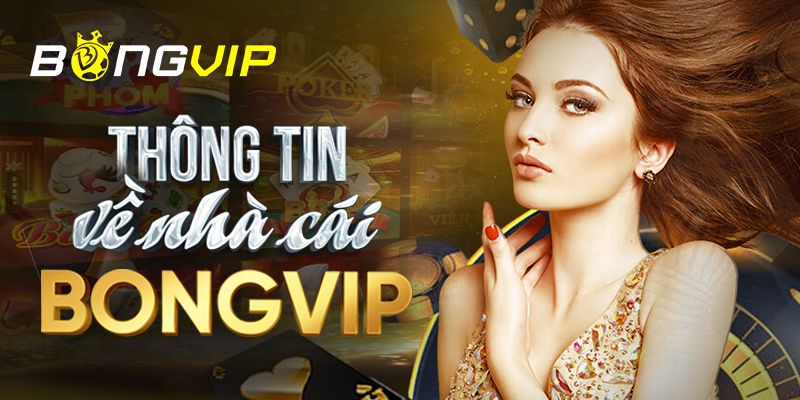 Các trang cá cược có xếp hạng 100Bet với tỷ lệ hoàn trả cao cung cấp nhiều lựa chọn cá cược khác nhau - 100Bet
