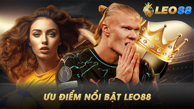 Tại sao người chơi lại chọn chơi một trò chơi câu cá có xếp hạng Vokbet? - Vokbet