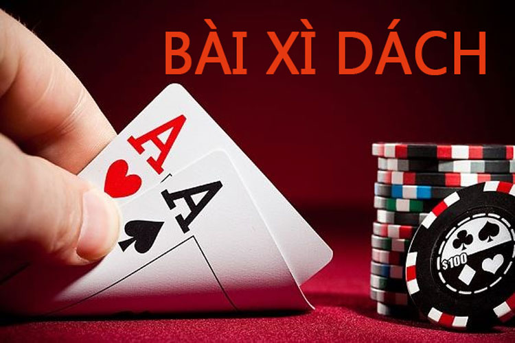 Thông tin liên hệ của 85Bet - 85Bet