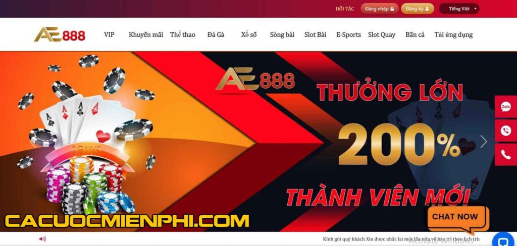 Kubet cung cấp lịch trình linh hoạt cho các trận đấu đá gà trực tiếp - Kubet