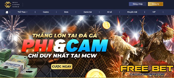 Dịch vụ cao cấp 999Bet - 999Bet