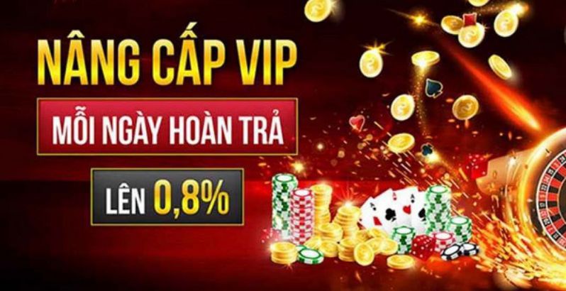 Tận hưởng các đặc quyền VIP hạng Hl8 và khám phá thế giới xa hoa - Hl8