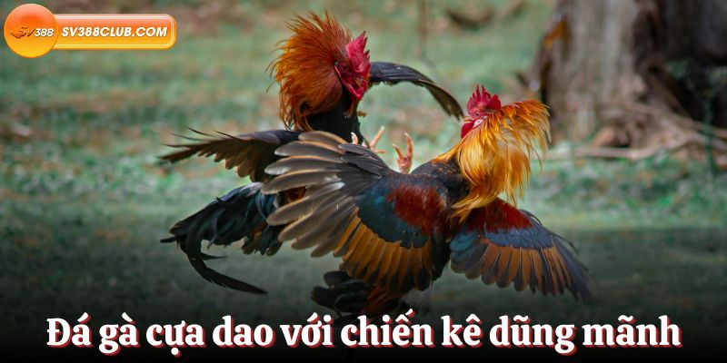 Mg188 cung cấp các trò chơi chất lượng cao và hấp dẫn - Mg188