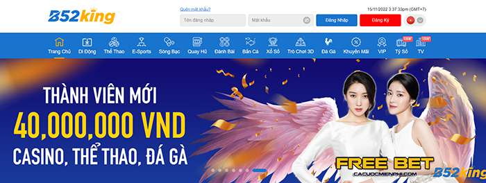 Cá cược hạng Dk88 bao gồm những gì? - Dk88