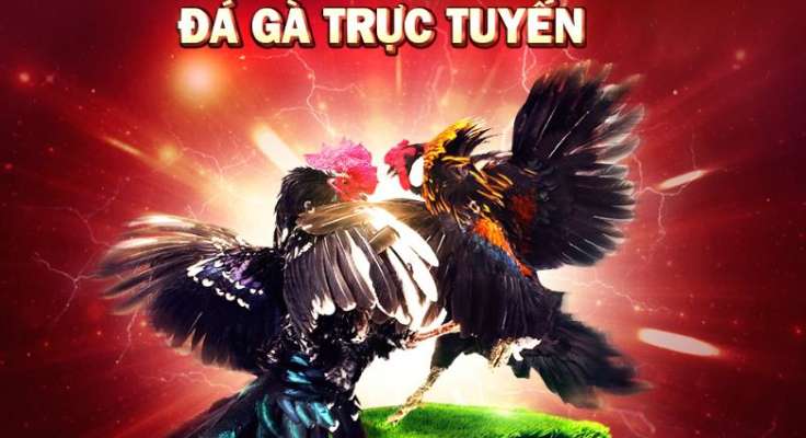 Một kho báu vừa đáng sợ vừa hấp dẫn ẩn chứa trong một nền tảng cấp độ God66 - God66