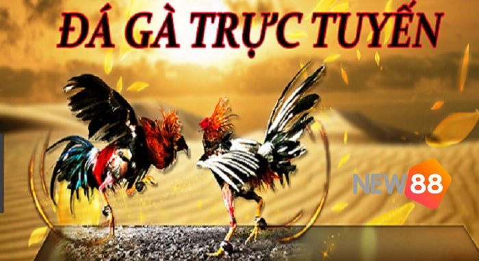 Ứng dụng Pkwin: Một cộng đồng và nền tảng tương tác dành cho game thủ - Pkwin